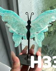 Small Butterfly Wings