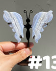 Blue Lace Agate Butterfly