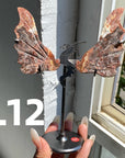Dragon Wings