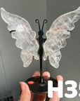 Small Butterfly Wings
