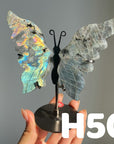 Small Butterfly Wings