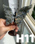 Small Butterfly Wings