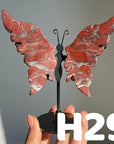 Small Butterfly Wings