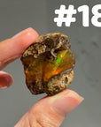 Ethiopian Water Opal