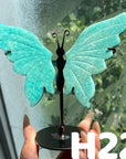 Small Butterfly Wings