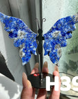 Small Butterfly Wings