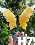 Small Butterfly Wings