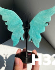 Small Butterfly Wings