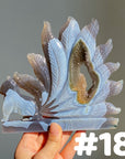 Druzy Agate 9 Tailed Fox(imperfect)