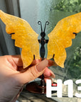 Small Butterfly Wings