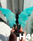 Small Butterfly Wings