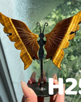Small Butterfly Wings