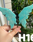 Small Butterfly Wings