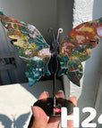 Small Butterfly Wings