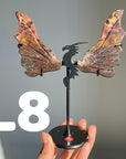 Dragon Wings