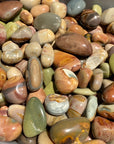 Polychrome Tumble