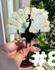 Clearance Peacock Wings