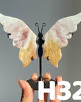 Small Butterfly Wings