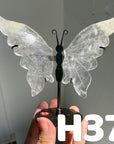 Small Butterfly Wings