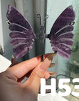 Small Butterfly Wings