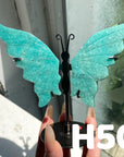 Small Butterfly Wings
