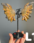 Dragon Wings