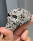 Yooperlite Alien Skull