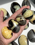 Septarian Palm Stone