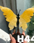 Small Butterfly Wings