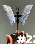 Blue Lace Agate Butterfly