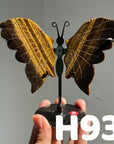 Small Butterfly Wings