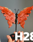 Small Butterfly Wings