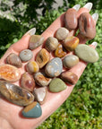 Polychrome Tumble