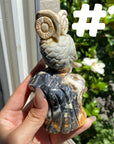 Sky Blue Quartz Owl