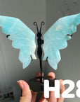Small Butterfly Wings