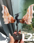 Dragon Wings