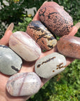 Picture Jasper Palmstone