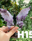 Small Butterfly Wings