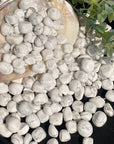 Howlite Tumbles