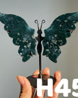 Small Butterfly Wings