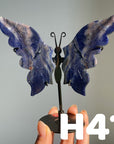 Small Butterfly Wings
