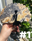 Clearance Peacock Wings