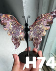 Small Butterfly Wings