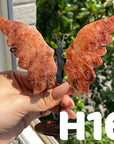 Small Butterfly Wings