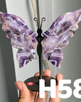 Small Butterfly Wings