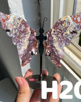 Small Butterfly Wings