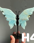 Small Butterfly Wings