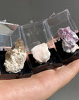 Specimen Display Box