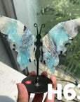 Small Butterfly Wings