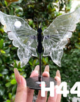 Small Butterfly Wings